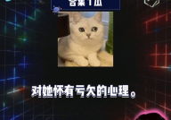 快乐吃瓜娱乐,尽享快乐吃瓜时光