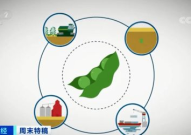 大豆期货行情,供需格局影响价格走势