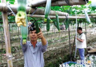 娱乐吃瓜村,揭秘娱乐圈背后的那些事儿