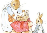 娱乐吃瓜兔子小说,揭秘娱乐圈背后的秘密