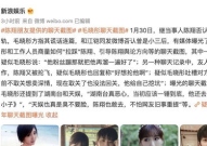 娱乐吃瓜君事件,揭秘网络舆论背后的真相与争议