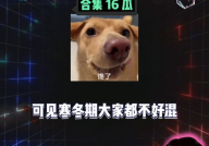 娱乐八卦吃瓜素材,揭秘明星们的幕后故事与情感纠葛