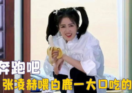 娱乐吃瓜酱白鹿,娱乐吃瓜酱的甜蜜蜕变之旅