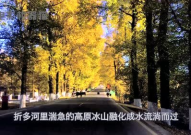 娱乐吃瓜君9,揭秘娱乐圈最新热点事件