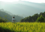 娱乐吃瓜酱拐进山里,拐进神秘山林探险记