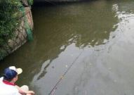 上海钓鱼,都市休闲与自然和谐共生的乐章