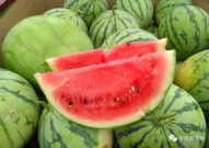 荔枝娱乐圈吃瓜爆料,荔枝吃瓜爆料，明星幕后故事大曝光