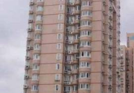 上海公寓楼盘价格,揭秘繁华都市的居住成本与投资潜力