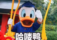 娱乐吃瓜鸭图片,揭秘娱乐圈那些不为人知的幕后故事