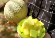 中国娱乐吃瓜,揭秘中国娱乐界的“吃瓜”盛况